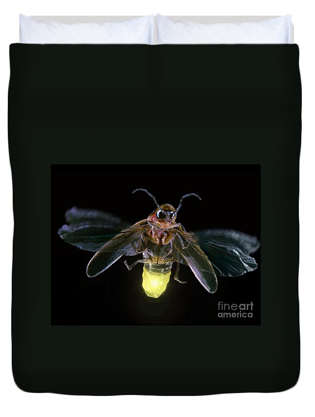 Horizontal Duvet Cover featuring the photograph Firefly by Darwin Dale