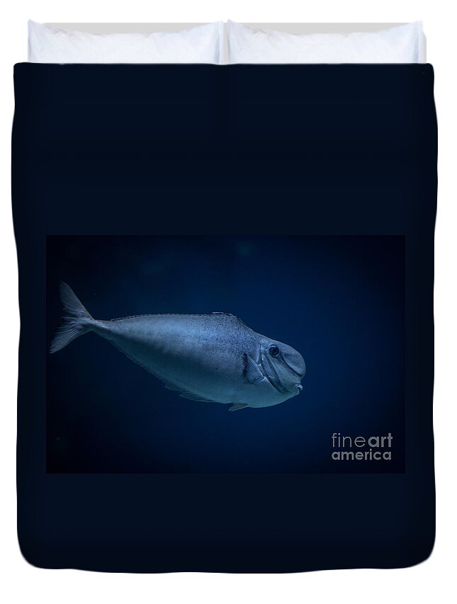 Fish Big Forehead Duvet Cover For Sale By Shaun Wilkinson