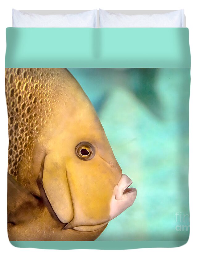 Chub Duvet Cover featuring the photograph Fish Profile by Cheryl Baxter