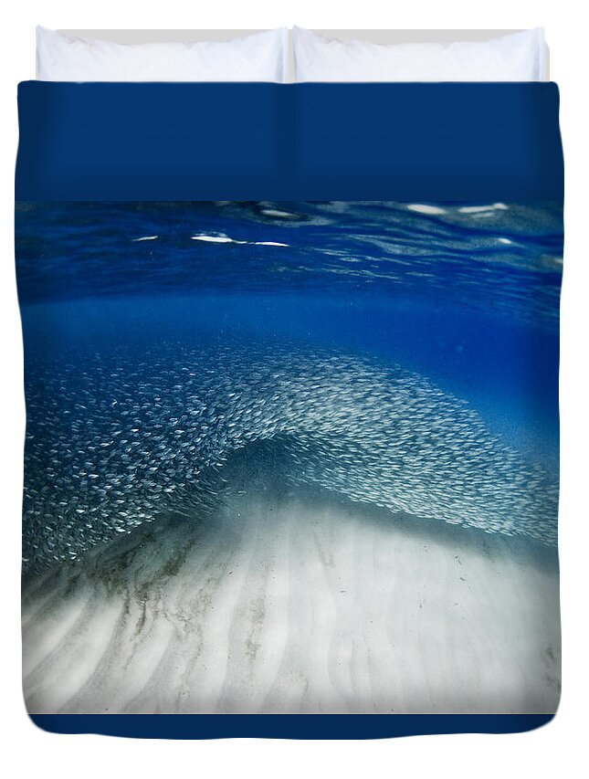 Sea Duvet Cover featuring the photograph Fish wave. by Sean Davey