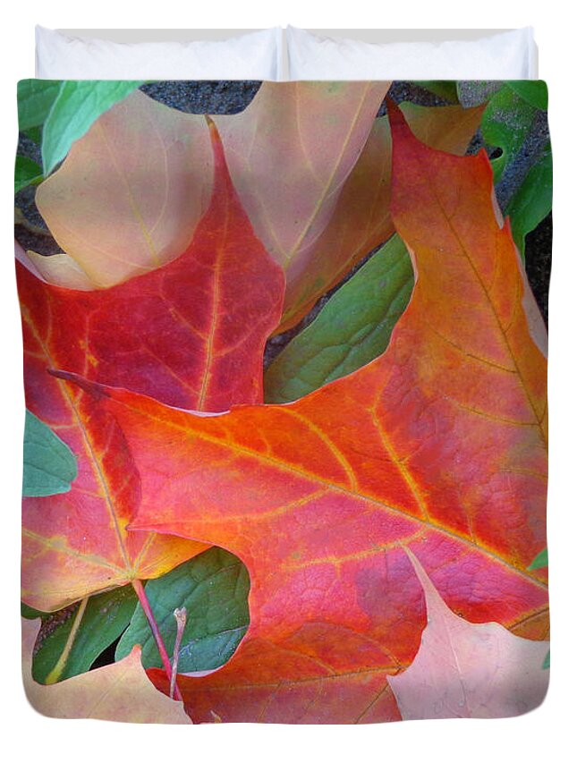 Maple Leaves In Autumn Duvet Cover featuring the photograph Flaming Autumn by Liz Evensen