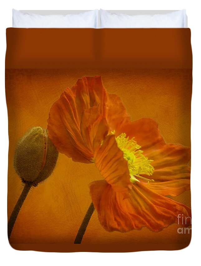 Orange Duvet Cover featuring the photograph Flaming Beauty by Heiko Koehrer-Wagner