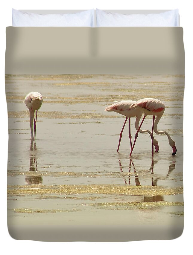 Catalonia Duvet Cover featuring the photograph Flamingos With Reflection At Delta Del by Artur Debat