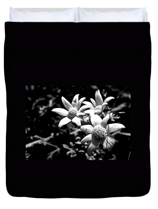 Flannel Flower Duvet Cover featuring the photograph Flannel flower by Miroslava Jurcik