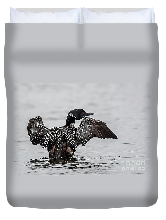 Loon Duvet Cover featuring the photograph Flapping Loon by Cheryl Baxter
