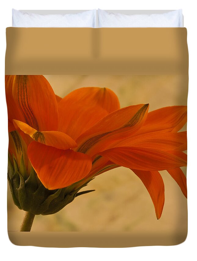 Macro Duvet Cover featuring the photograph Flaunting Gazani by Sandra Foster