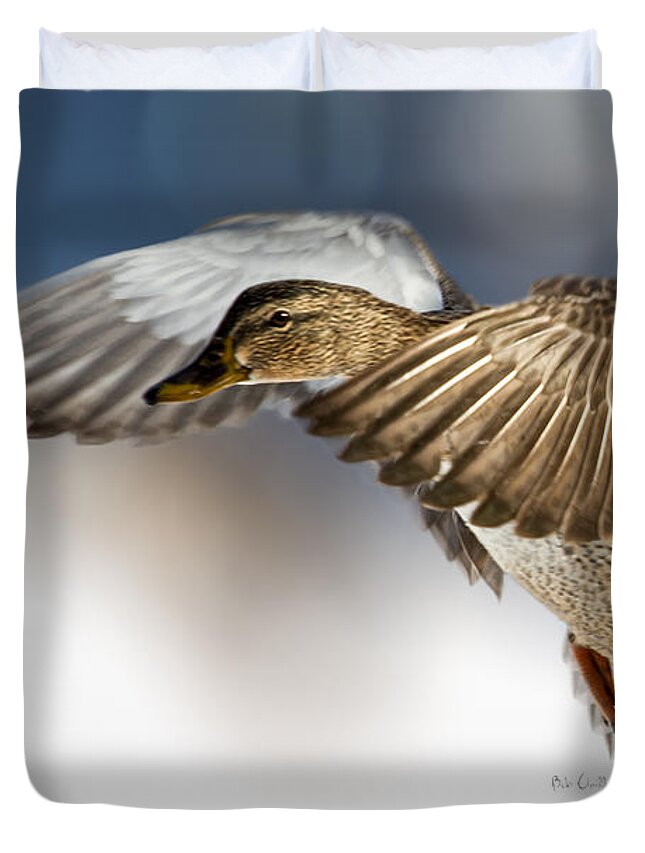 Duck Duvet Cover featuring the photograph Flight of the Mallard by Bob Orsillo