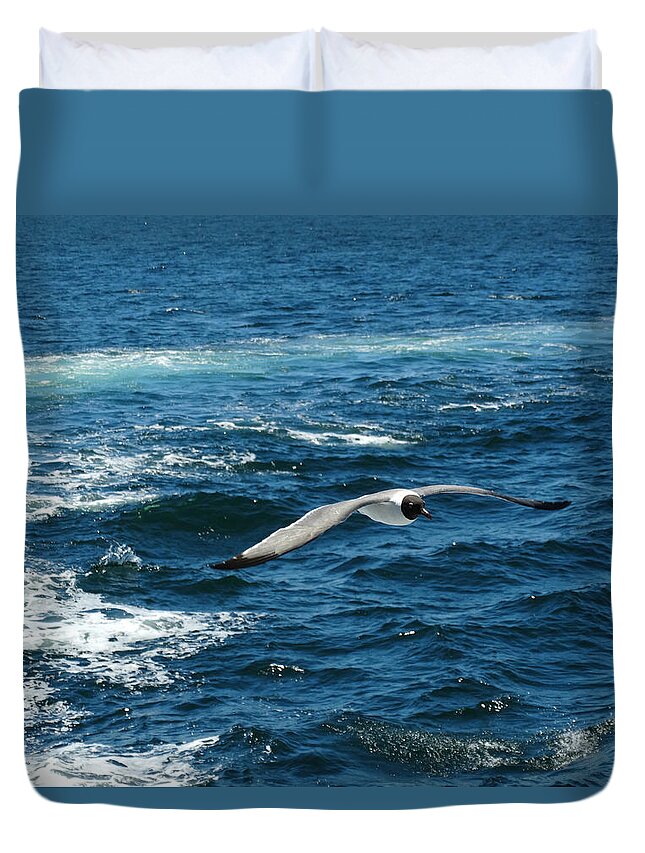 Flight Of The Seagull Duvet Cover featuring the photograph Flight of the Seagull by Dark Whimsy