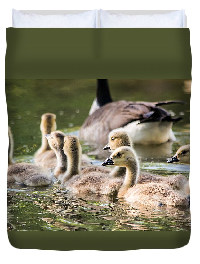 Geese Duvet Cover featuring the photograph Floating Along The Pond by Parker Cunningham