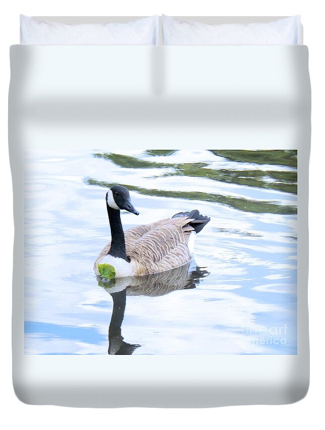 Canada Duvet Cover featuring the photograph Floating On A Lily Pad by Robyn King