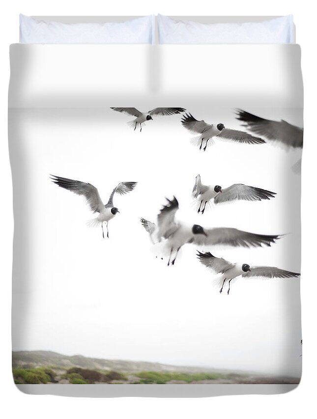 Animal Themes Duvet Cover featuring the photograph Flock Of Seagulls by Olga Melhiser Photography