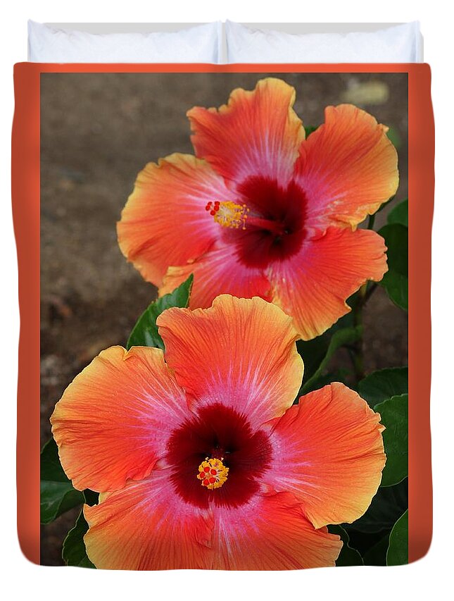 Hibiscus Duvet Cover featuring the photograph Floral Beauty 2 by Christy Pooschke
