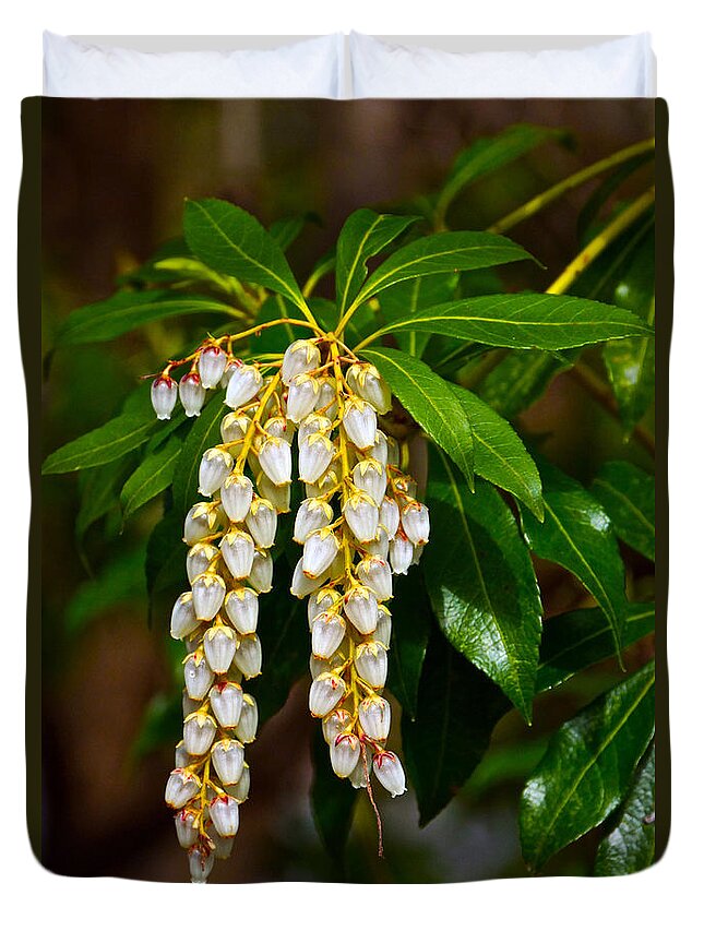 Pieris Japonica Duvet Cover featuring the photograph Floral Hanging Lanterns from Japan by Byron Varvarigos