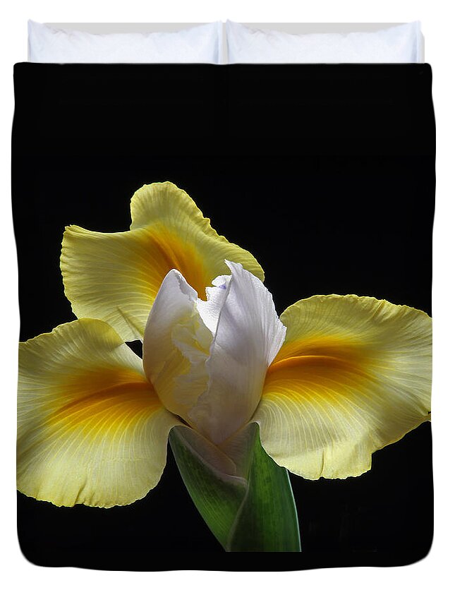 Iris Duvet Cover featuring the photograph Floral Roar by Juergen Roth