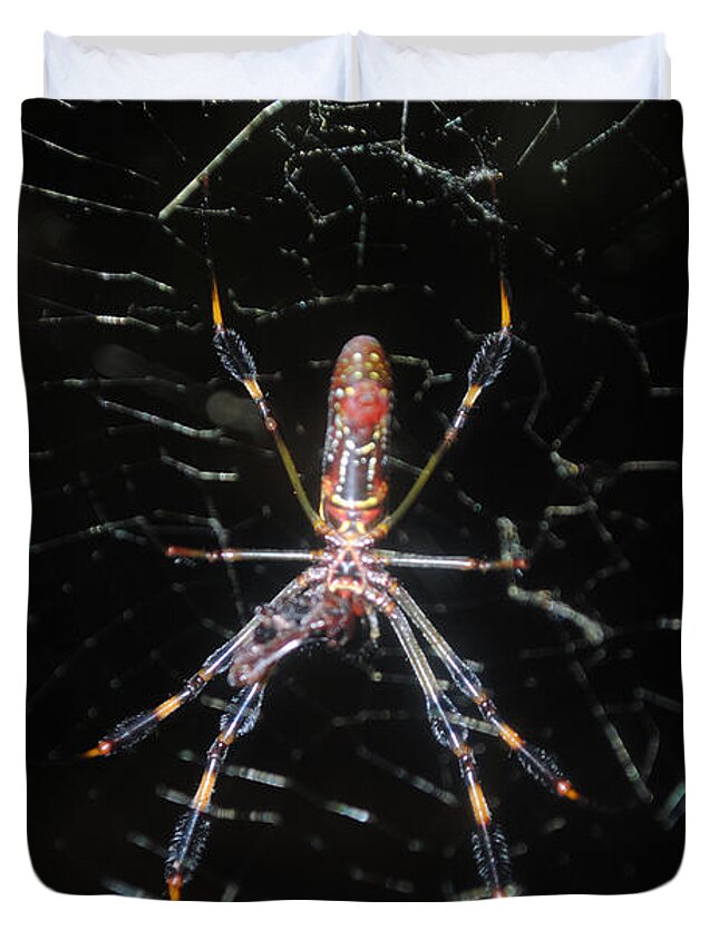 Araneae Duvet Cover featuring the photograph Insect Me Closely by George D Gordon III