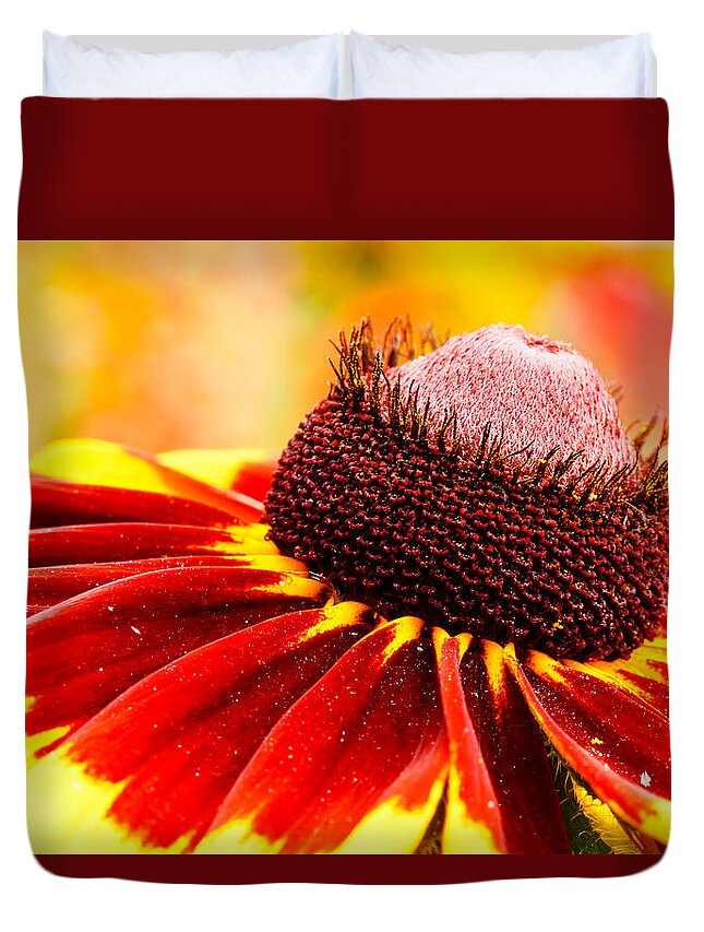 Flower Duvet Cover featuring the photograph Black Eyed Susan Hybrid by Ben Graham
