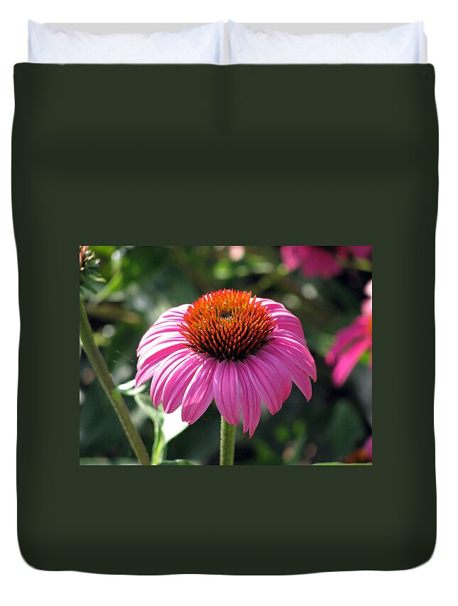 Flower Duvet Cover featuring the photograph Flower Garden 47 by Pamela Critchlow