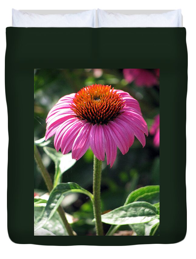Flower Duvet Cover featuring the photograph Flower Garden 48 by Pamela Critchlow