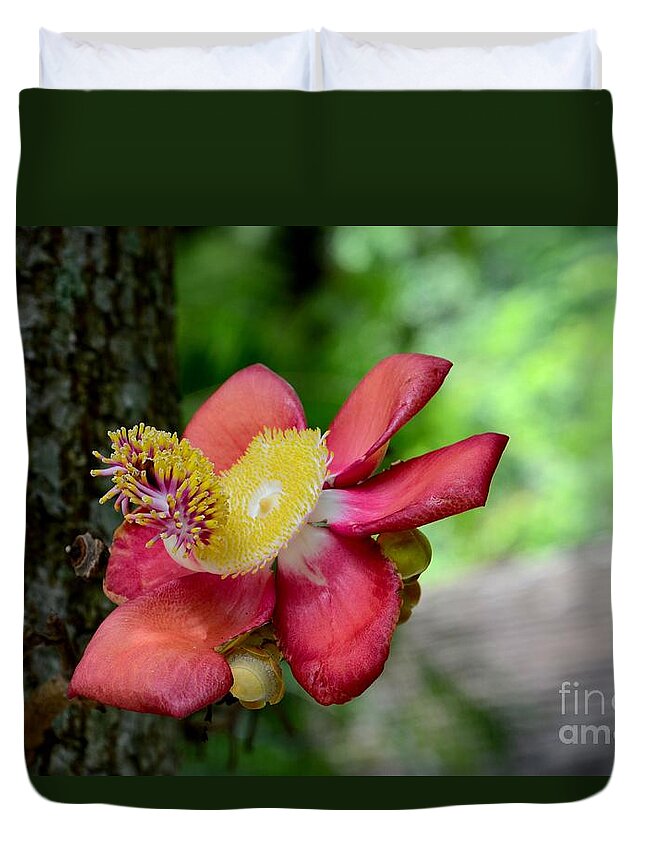  Flower Duvet Cover featuring the photograph Flower of Cannonball Tree Singapore by Imran Ahmed