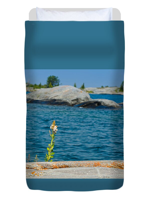 Rocks Duvet Cover featuring the photograph Flower on a rocky shore by Les Palenik