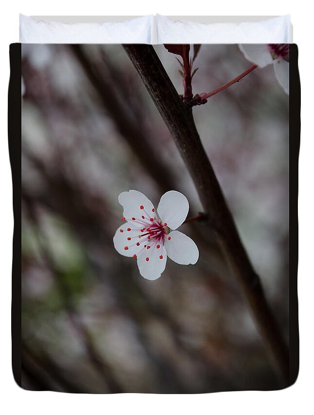 Flower Duvet Cover featuring the photograph Flowering Plum 3 by Michael Arend