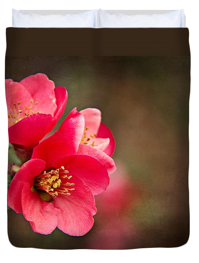  Japanese Quince Duvet Cover featuring the photograph Flowering Quince by Lana Trussell