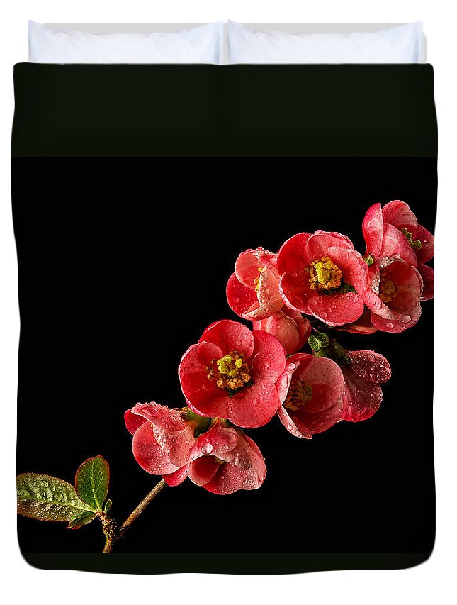Quince Duvet Cover featuring the photograph Flowering Quince by Mary Jo Allen