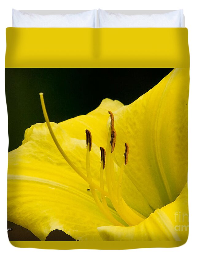 Wisconsin Duvet Cover featuring the photograph Flowers 003 by Ms Judi