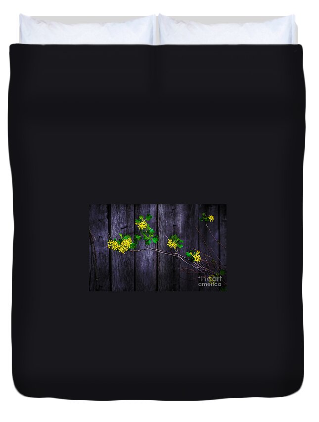 Barn Duvet Cover featuring the photograph Flowers On Abandoned Farm House by Michael Arend
