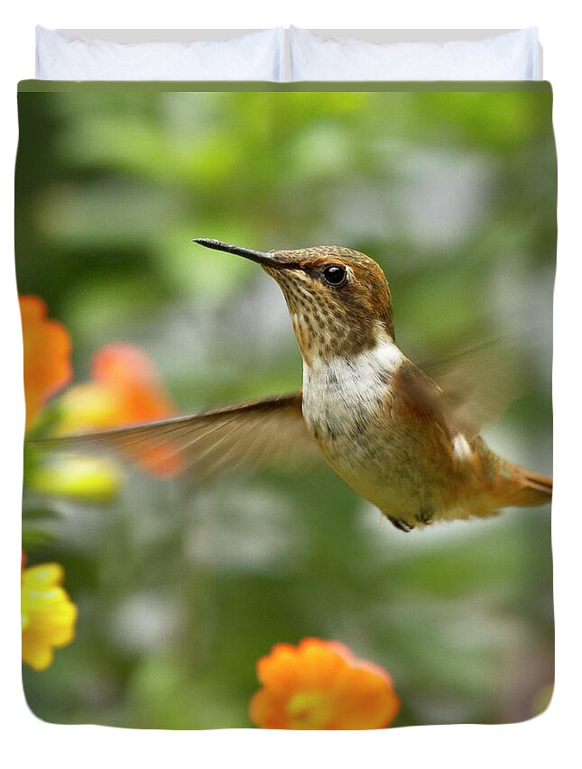 Bird Duvet Cover featuring the photograph Flying Scintillant Hummingbird by Heiko Koehrer-Wagner