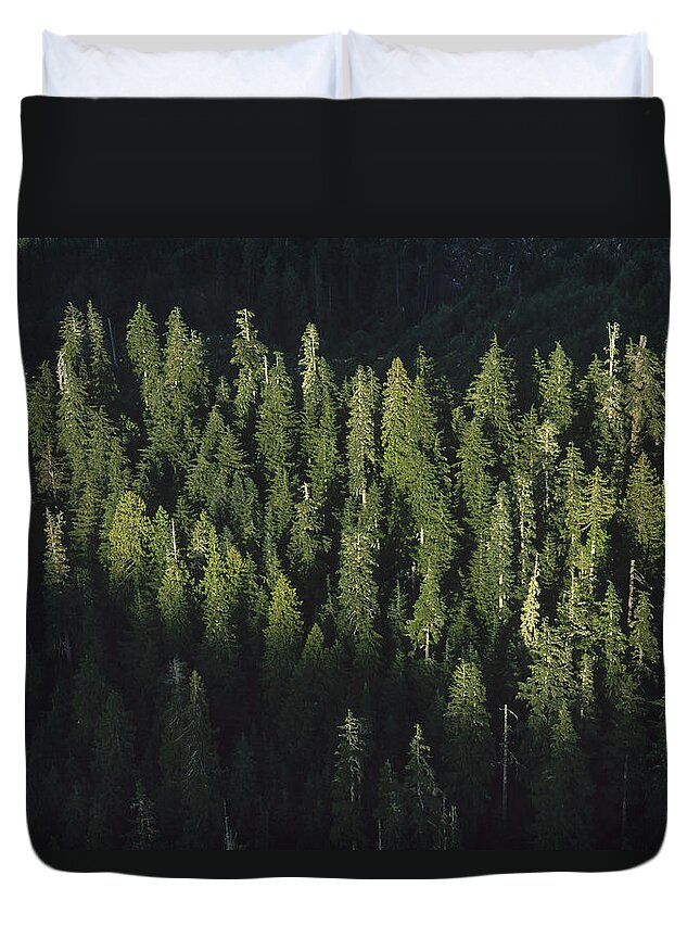 Feb0514 Duvet Cover featuring the photograph Forest Aerial Olympic National Park by Mark Moffett