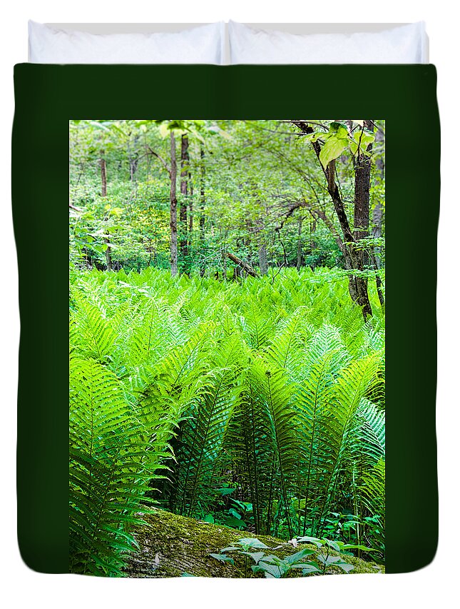 Michigan Duvet Cover featuring the photograph Forest Ferns  by Lars Lentz