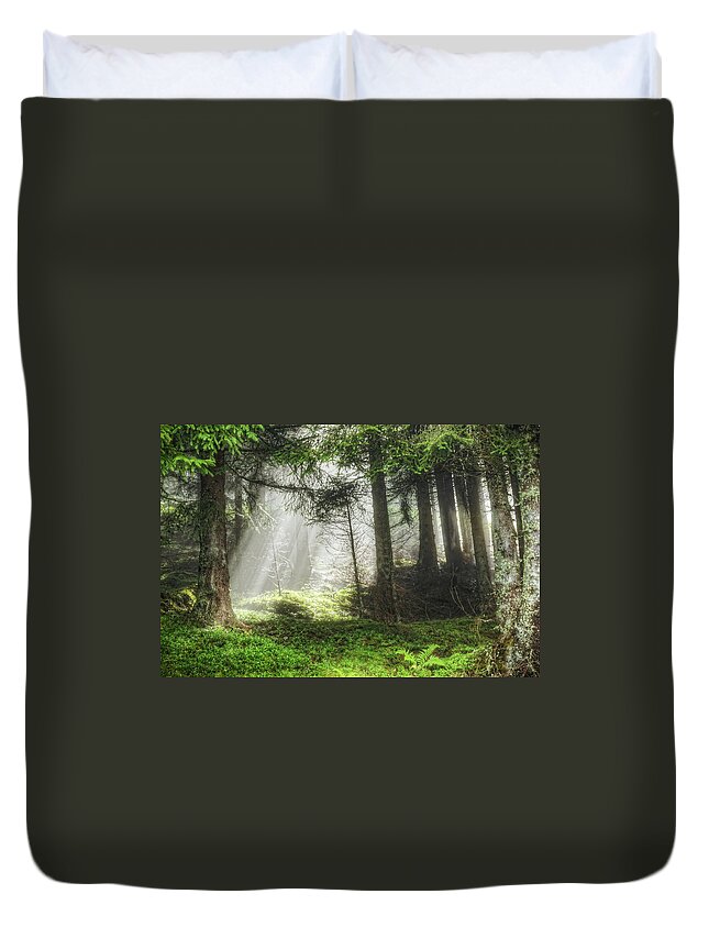Scenics Duvet Cover featuring the photograph Forest Sunbeam by Davelongmedia