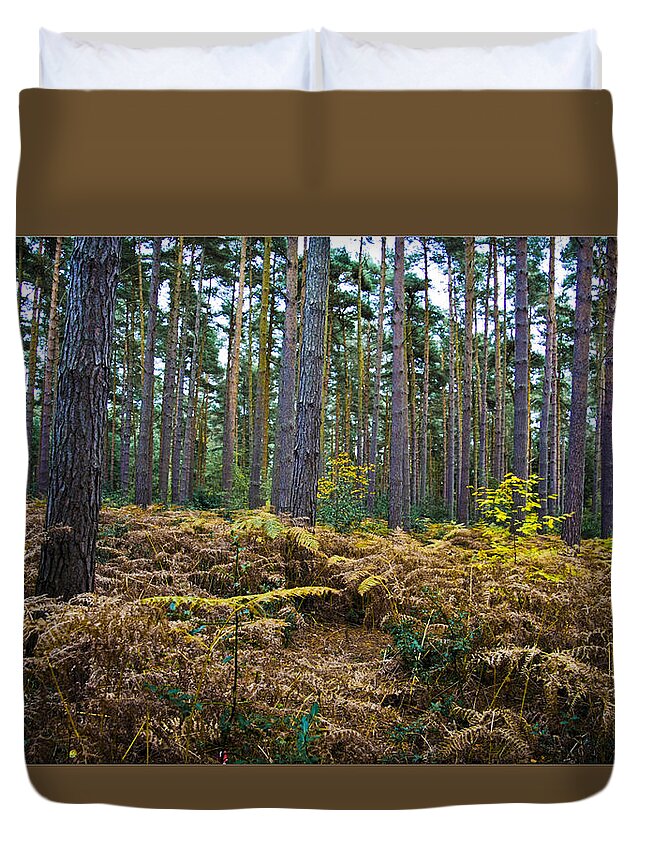 Forest Duvet Cover featuring the photograph Forest Trees by Maj Seda