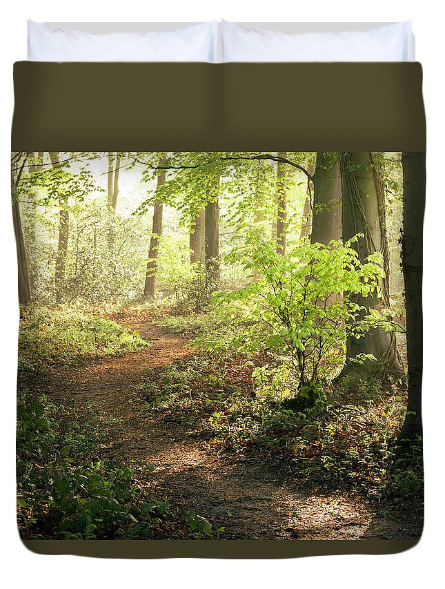 Tranquility Duvet Cover featuring the photograph Forest Walk by Image By Chris Winsor