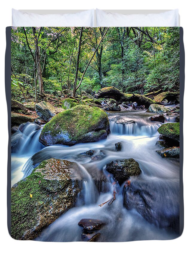  Water Waterfall Nature River Green Fall Forest Cascade Blue Tree Beautiful Beauty Stream Vacation Rock Fresh Natural Plant Landscape Clean Outdoors Health Stone Flow Wet Drop Spring Mountain Environment Splash Duvet Cover featuring the photograph Forest Waterfall by John Swartz