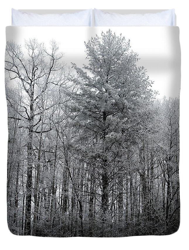 Landscape Duvet Cover featuring the photograph Forest With Freezing Fog by Daniel Reed