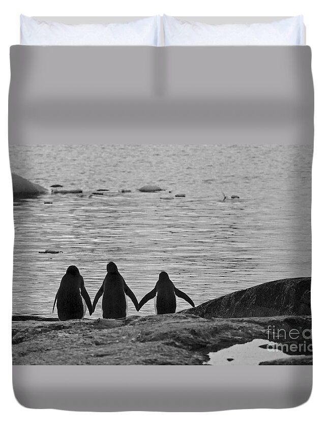 Festblues Duvet Cover featuring the photograph Forever Friends... by Nina Stavlund