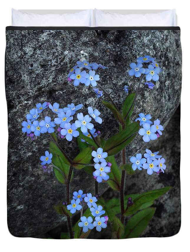Forget-me-nots Duvet Cover featuring the photograph Forget-Me-Not Portrait by David T Wilkinson