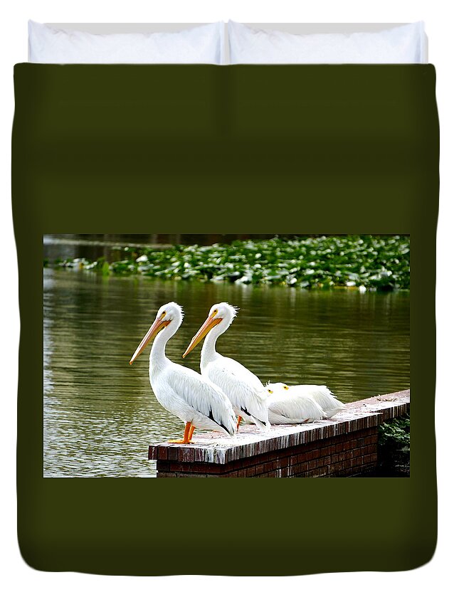 White Pelicans Duvet Cover featuring the photograph Four in a Row by Laurie Perry