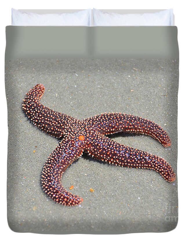 Starfish Duvet Cover featuring the photograph Four Legged Starfish by Kathy Baccari