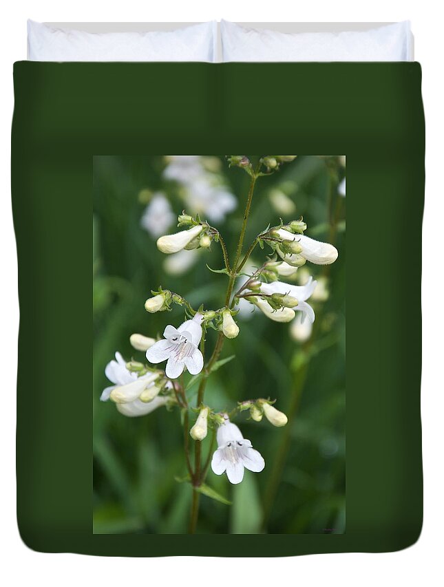 Native Flowers Duvet Cover featuring the photograph Foxglove Beardtongue by Kristin Hatt