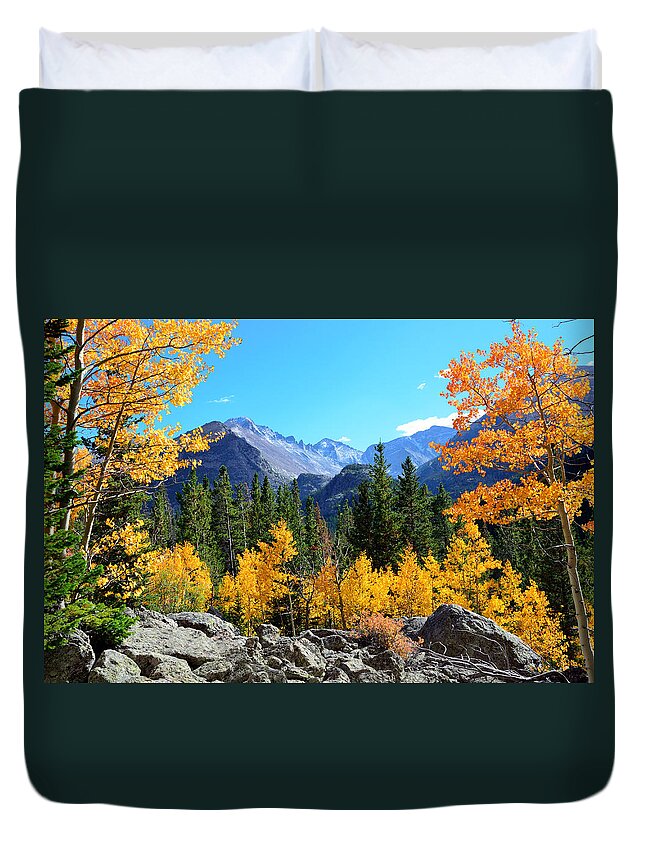 Bear Duvet Cover featuring the photograph Framed in Gold by Tranquil Light Photography