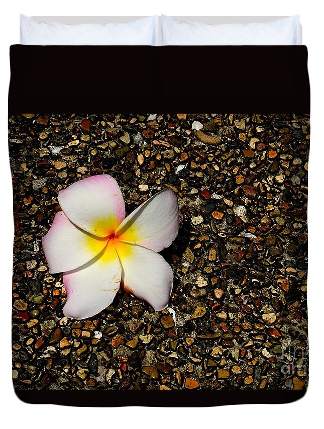  Frangipani Duvet Cover featuring the photograph Frangipani plumeria flower on pebble path by Imran Ahmed