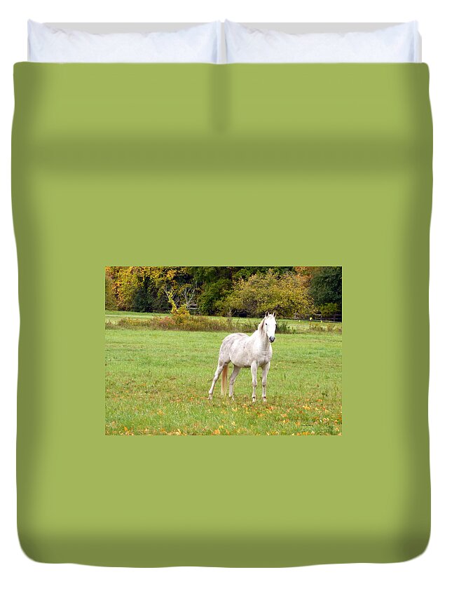 Country Duvet Cover featuring the photograph Free Spirit in the Country by Lingfai Leung