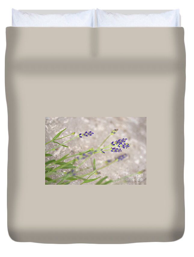 Organic Duvet Cover featuring the photograph Fresh garden lavender by Sophie McAulay