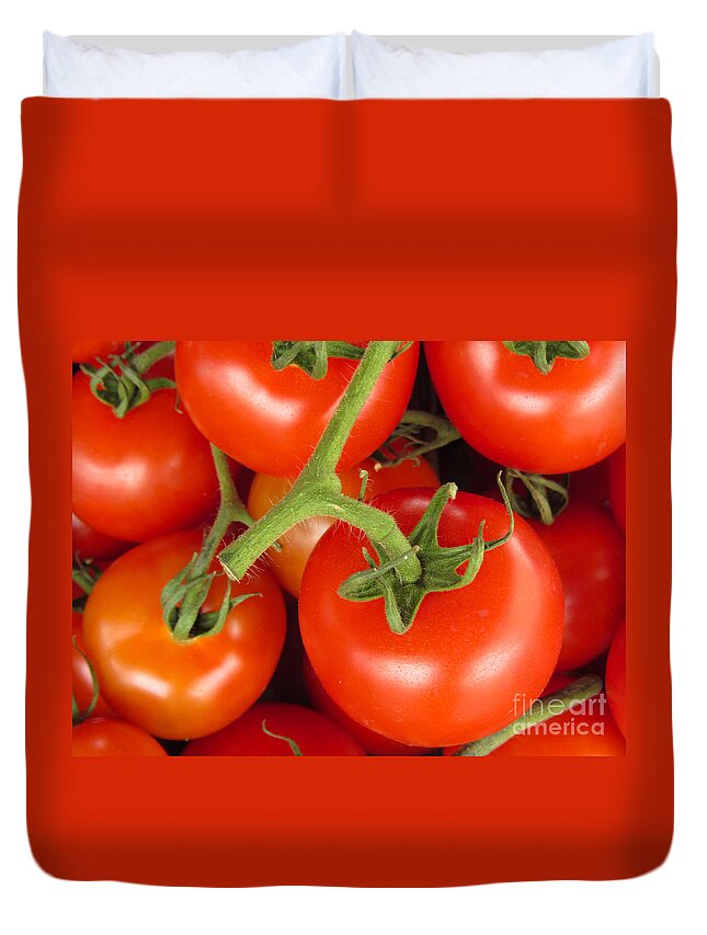 Tomato Canvas Print Duvet Cover featuring the photograph Fresh Whole Tomatos on Vine by David Millenheft