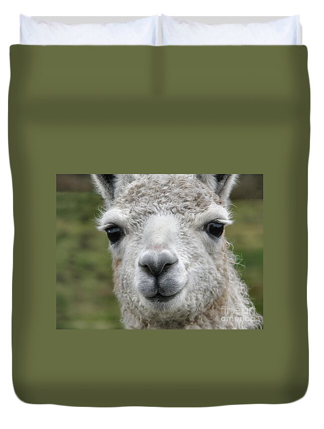 Llama Duvet Cover featuring the photograph Friends From The Field by Rory Siegel