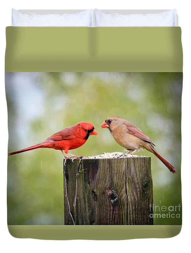 Birds Duvet Cover featuring the photograph Friends In The Rain by Kerri Farley