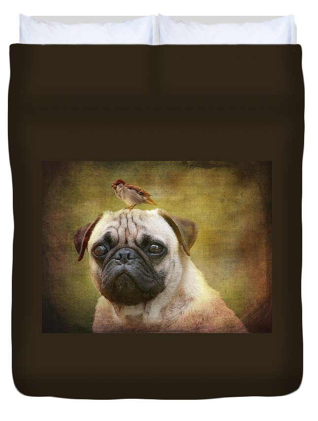 Portrait Duvet Cover featuring the photograph Friends like pug and bird by Barbara Orenya